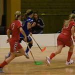 IMG_5586.jpg